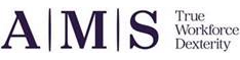 HS&E Advisor Logo