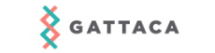 Senior Business Analyst Logo