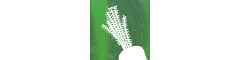 Butchery Team Member - Dispatch Logo