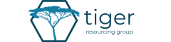 Project Engineer Logo