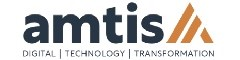 Senior Transformation Analyst Logo