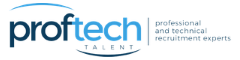 Network Systems Engineer Logo