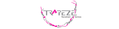 Project Engineer Logo