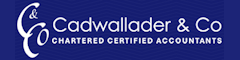 Experienced Qualified Accountant Logo
