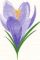 Registered Nurse Logo