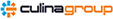 Financial Accountant Logo